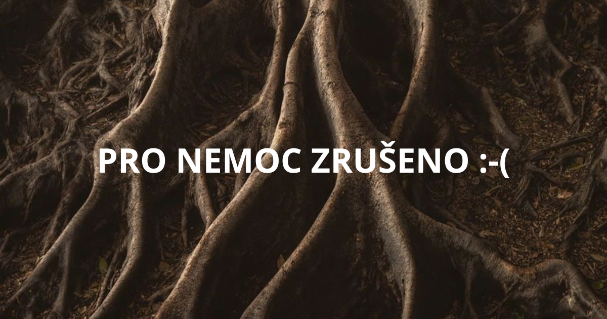 1.10. - open class Medicína tance - KOŘENY A KOŘÍNKY